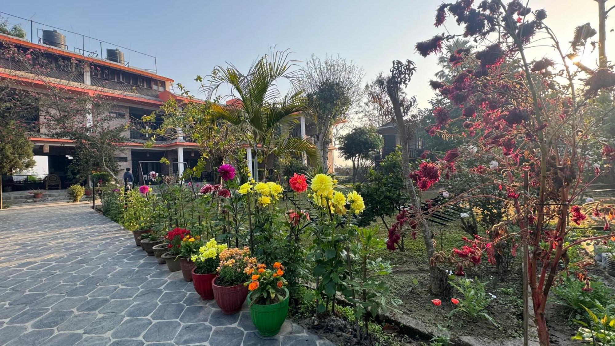 Chautari Garden Resort Sauraha Exterior photo