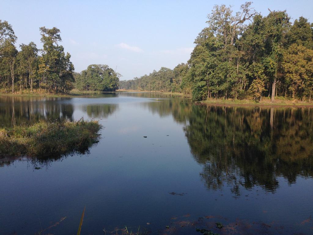 Chautari Garden Resort Sauraha Exterior photo