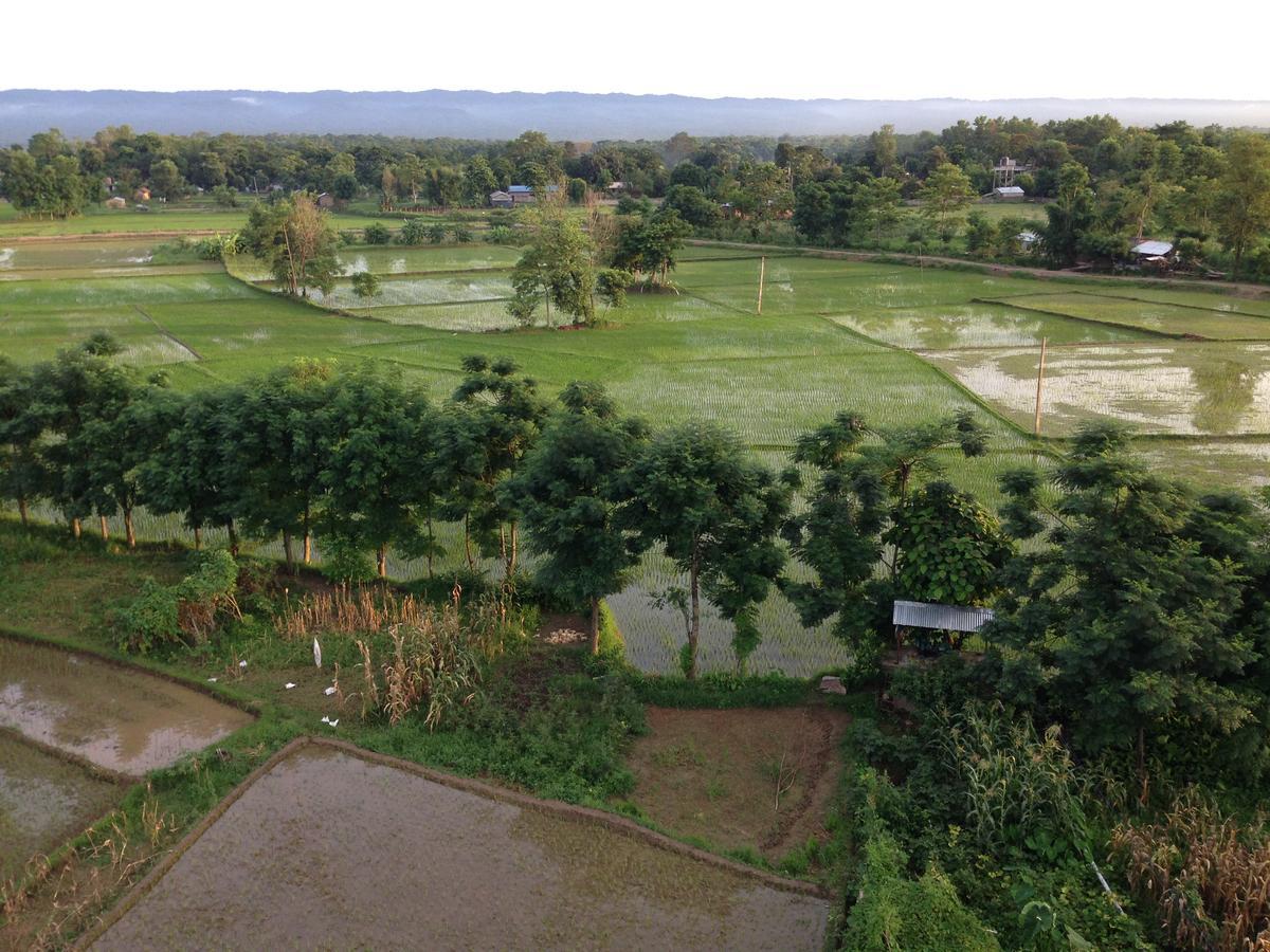 Chautari Garden Resort Sauraha Exterior photo